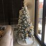 Quer que lhe montem a sua árvore de Natal? Estas duas irmãs levam 24 euros à hora