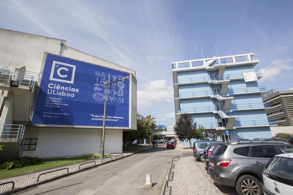 Faculdade Ciências Lisboa