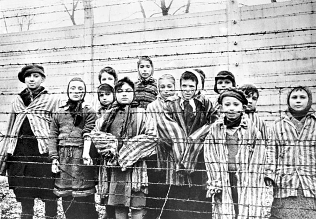 Libertação De Auschwitz Foi Há 75 Anos - Fotografias - SÁBADO