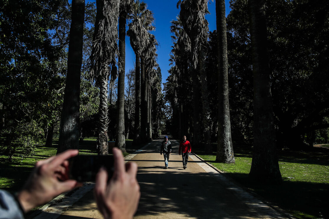 Jardim Botânico Belém
