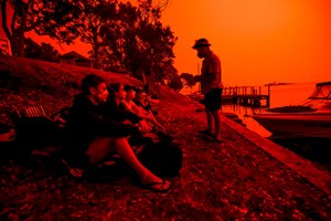 Quem deu mais? Celebridades somam donativos para a Austrália