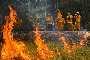 Três mortos em queda de avião de combate a incêndios na Austrália