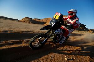 paulo gonçalves dakar