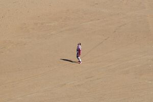  Joaquim Rodrigues, colega de equipa e cunhado de Paulo Gonçalves, momentos após a morte do piloto