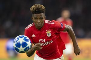 Gedson Fernandes