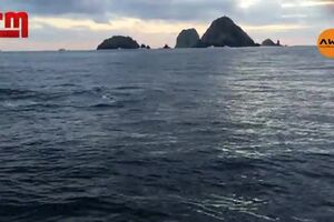 orcas.mp4