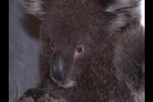 Untitled Project ‐ Made with Clipchamp (3).mp4