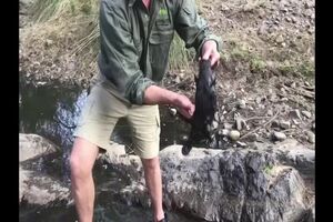 Untitled Project ‐ Made with Clipchamp (2).mp4