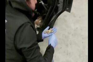 Untitled Project ‐ Made with Clipchamp (11).mp4