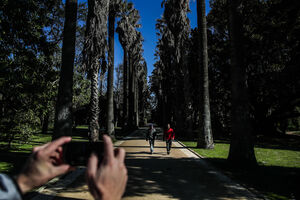 Jardim Botânico Belém
