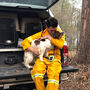 Taylor, a cadela que já salvou oito coalas nos incêndios na Austrália
