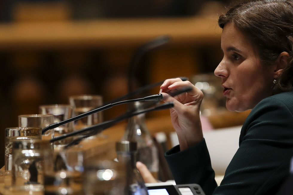 Mariana Vieira da Silva - comissão OE2020