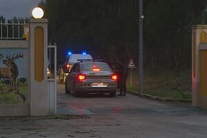 Três pessoas morrem numa fossa de suinicultura em Santarém