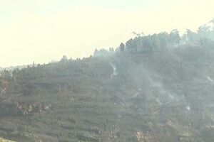 Incêndio lavra em zona de mato na Ponta do Pargo na Madeira