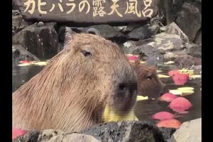 Untitled Project ‐ Made with Clipchamp (7).mp4
