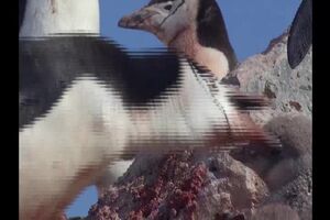 Untitled Project ‐ Made with Clipchamp (5).mp4