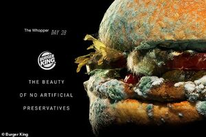 y2mate.com - Burger King _ The Moldy Whopper_oSDC4C3_16Y_1080p.mp4