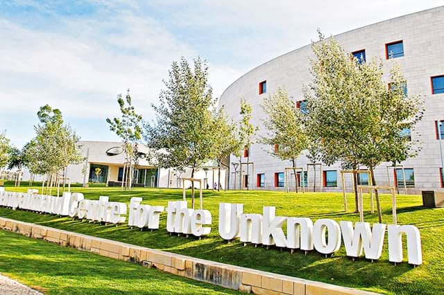 Costa saúda lugar de topo mundial da Fundação Champalimaud na inteligência artificial