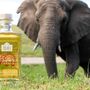 Este gin é feito de estrume de elefante, mas por uma boa causa