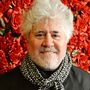 Almodóvar adapta A Voz Humana em curta com Tilda Swinton