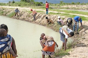 Mais de 33.000 pessoas abandonaram norte de Moçambique na última semana