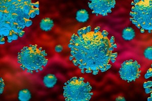 Coronavírus: assintomáticos são transmissores particularmente perigosos