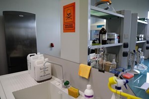 Covid-19: Militares 'ofereceram' mais de 6.100 camas e fizeram 151 mil litros de gel