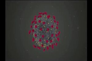 Untitled Project ‐ Made with Clipchamp.mp4