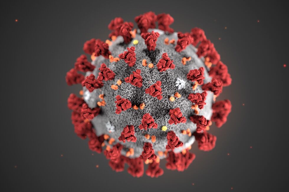 Coronavirus virus china