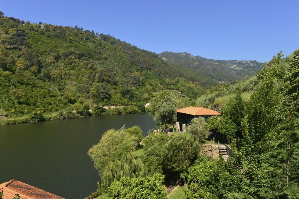 Rio Douro
