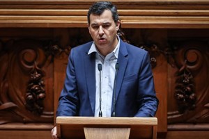 André Silva sai de porta-voz do PAN e do parlamento para 'apanhar comboio da paternidade'