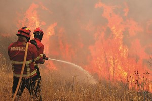 Investigadores estudam impacto da exposição a poluentes na saúde de 250 bombeiros