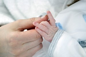 Bebés até um ano passam a ter cartão de cidadão gratuito