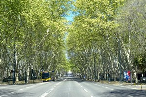 Na próxima sexta, o jazz invade (gratuitamente) a Avenida da Liberdade