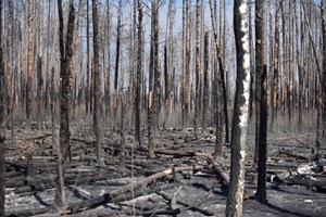 Ucrânia: Autoridades garantem que incêndio perto de Chernobyl está controlado