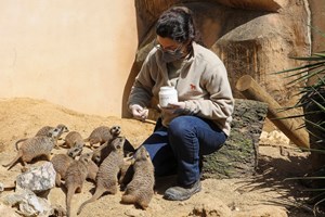 Zoo de Lisboa, onde só os humanos tiveram que mudar a sua vida