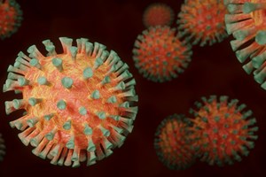 Covid-19: Investigadores estudam ferramenta que deteta novo coronavírus em 45 minutos