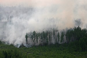 Incêndios deixam Sibéria e extremo oriente russo em “situação crítica”