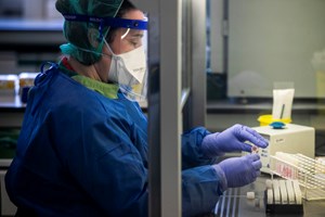 Portugal sem registo de casos de gripe das aves em humanos