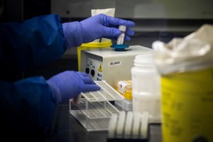 INSA reativa sistema de vigilância da gripe reforçado com áreas dedicadas aos doentes respiratórios