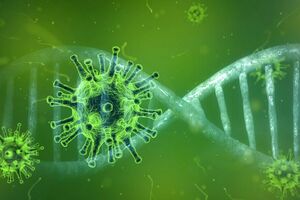 coronavirus virus