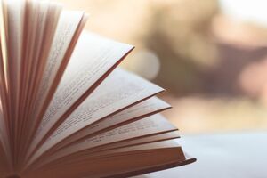 livros 