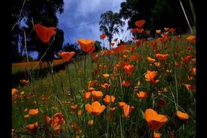 Untitled Project ‐ Made with Clipchamp.mp4