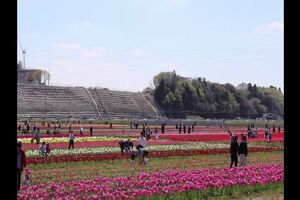 Untitled Project ‐ Made with Clipchamp (2).mp4