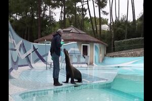 Untitled Project ‐ Made with Clipchamp (5).mp4