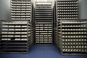 bel, queijo, terra nostra, limiano, fábrica, indústria