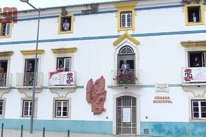 CofinaEditor_2020-04-25_15_26.048369348.mp4