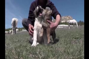 Untitled Project ‐ Made with Clipchamp (3).mp4