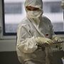 Laboratório de Wuhan testou coronavírus em morcegos em projeto financiado pelos EUA