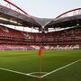 Benfica reage a artigo do New York Times e fala em inveja pelos seus anos de sucesso